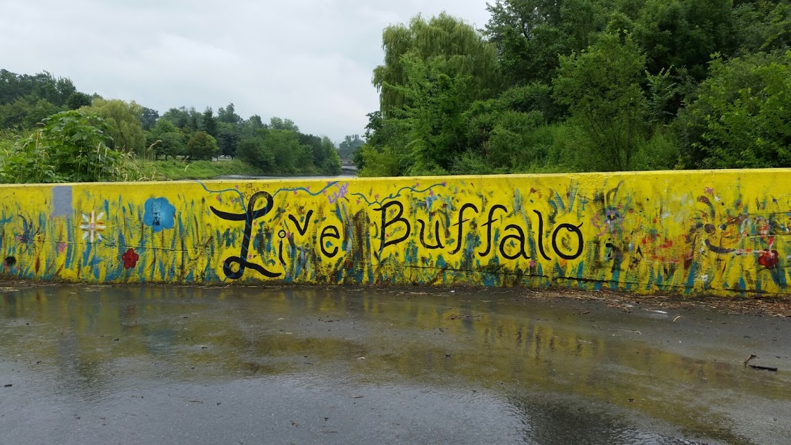 Live Buffalo