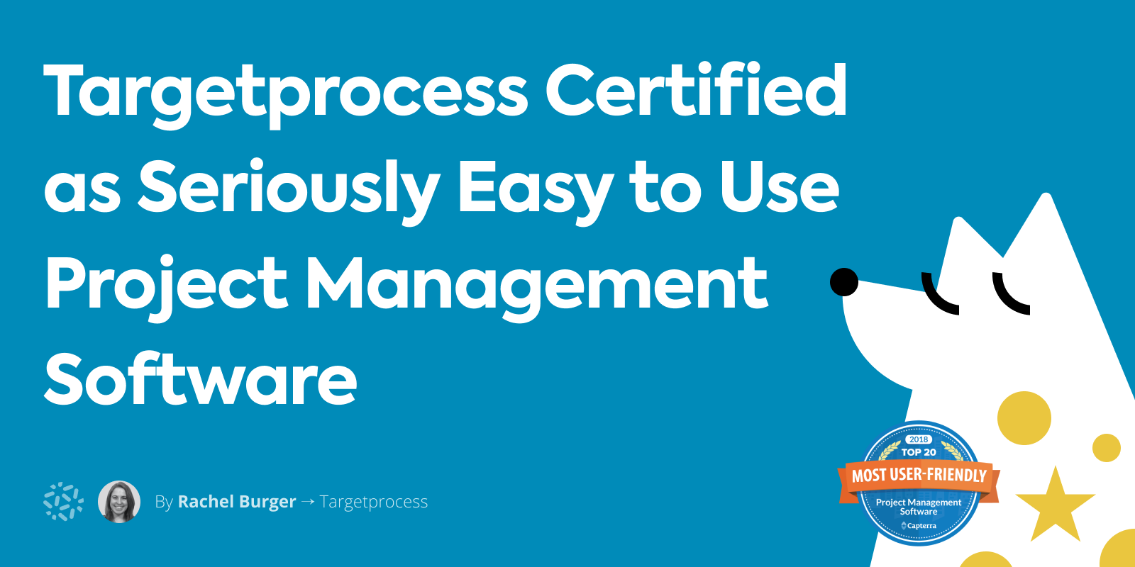 Targetprocess is the best easy to use project management software